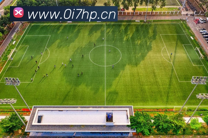 乐鱼网页版在线登录官网品牌故事